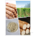 Diosgenin 16% High quality Wild Yam extract with best price